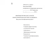 Иллюстрация №1: микробиологические аспекты лабораторной диагностики хламидиоза (Дипломные работы - Медицина).